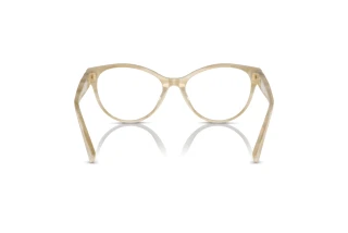 [glasses-back-view] Ralph Lauren RL6238U (6107)