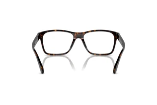 Vedere din spate Ralph Lauren RL6240U (5003)