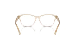 [glasses-back-view] Ralph Lauren RL6243 (6181)