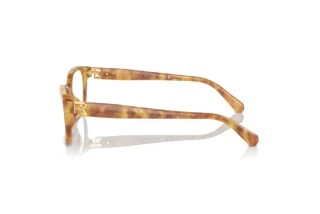 [glasses-side-view] Ralph Lauren RL6244U (5304)