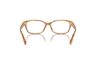 [glasses-back-view] Ralph Lauren RL6244U (5304)