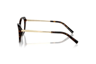 [glasses-side-view] Ralph Lauren RL6245 (5003)