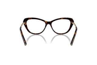 [glasses-back-view] Ralph Lauren RL6245 (5003)