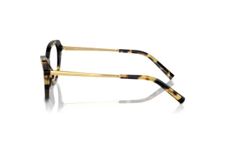 Vista lateral Ralph Lauren RL6245 (5004)