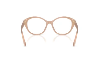 Πίσω όψη Ralph Lauren RL6246U (6217)