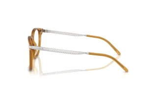 Изглед отстрани Ralph Lauren RL6248U (5275)