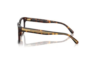 [glasses-side-view] Ralph Lauren RL6249U (5003)
