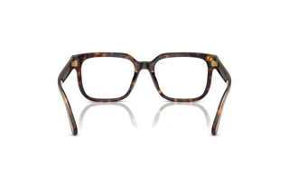 [glasses-back-view] Ralph Lauren RL6249U (5003)
