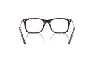 [glasses-back-view] Ralph Lauren RL6253U (5003)