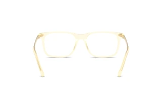 [glasses-back-view] Ralph Lauren RL6253U (5034)