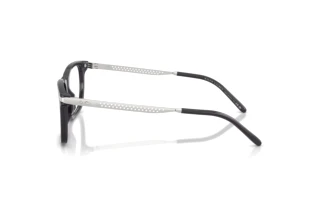 [glasses-side-view] Ralph Lauren RL6253U (5965)