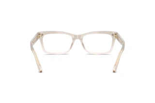 Vedere din spate Ralph Lauren RL6255U (6112)