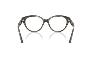 Vedere din spate Ralph Lauren RL6256U (6175)