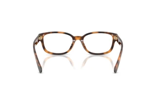 [glasses-back-view] Ralph Lauren RL6261U (6089)