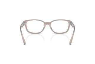 [glasses-back-view] Ralph Lauren RL6261U (6349)