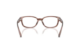 [glasses-back-view] Ralph Lauren RL6261U (6350)