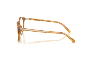 [glasses-side-view] Ralph Lauren RL6263U (6185)