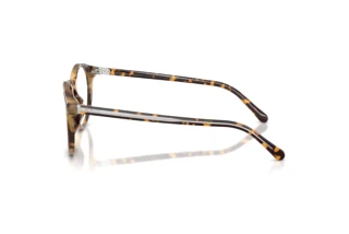 [glasses-side-view] Ralph Lauren RL6263U (6339)