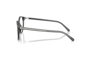 [glasses-side-view] Ralph Lauren RL6263U (6347)
