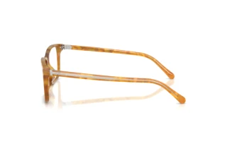 [glasses-side-view] Ralph Lauren RL6264U (6185)