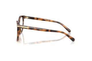 [glasses-side-view] Ralph Lauren RL6266U (6089)