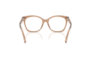 [glasses-back-view] Ralph Lauren RL6266U (6377)