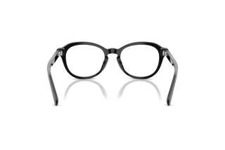 [glasses-back-view] Ralph Lauren RL6267U (5001)