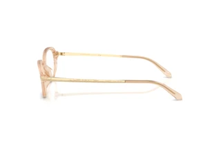 [glasses-side-view] Ralph Lauren RL6269U (6062)