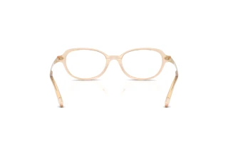 [glasses-back-view] Ralph Lauren RL6269U (6062)