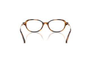 [glasses-back-view] Ralph Lauren RL6269U (6089)