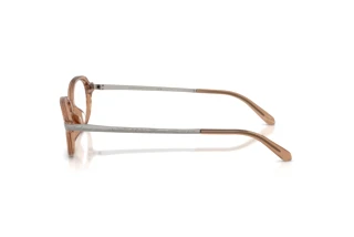 [glasses-side-view] Ralph Lauren RL6269U (6377)