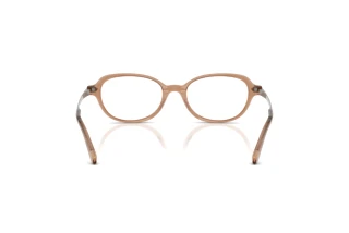 [glasses-back-view] Ralph Lauren RL6269U (6377)