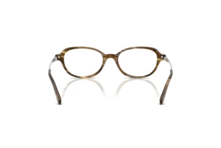[glasses-back-view] Ralph Lauren RL6269U (6378)