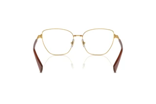 Vista posterior Ralph RA6060 (9458)