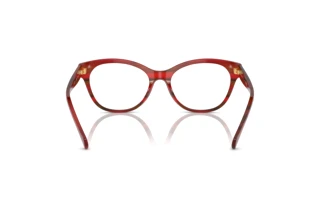 [glasses-back-view] Ralph RA7141 (5989)