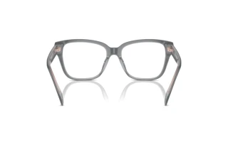 Vy bakifrån Ralph RA7162U (6066)