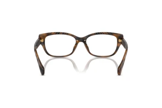 [glasses-back-view] Ralph RA7165U (6149)
