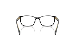[glasses-back-view] Ralph RA7194U (6297)
