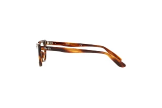 [glasses-side-view] Ray-Ban Kids MISS BURBANK (RY9099V - 3888)