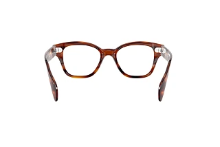 Vy bakifrån Ray-Ban RX0880 (2144)