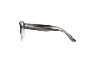 Sidovy Ray-Ban RX2180V (8106)
