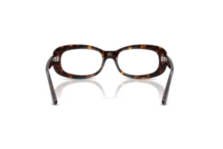[glasses-back-view] Ray-Ban RX2221V (2012)