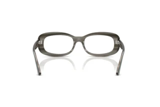 [glasses-back-view] Ray-Ban RX2221V (8453)
