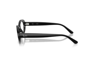 [glasses-side-view] Ray-Ban RX2223V (2000)