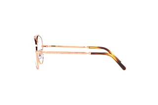 Sivukuva Ray-Ban NEW AVIATOR (RX3625V - 3094)