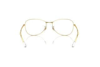 Vista posterior Ray-Ban RX3733V (2500)