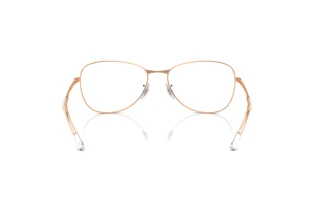 [glasses-back-view] Ray-Ban RX3733V (3094)
