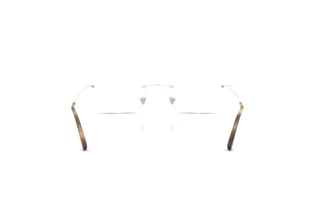 [glasses-back-view] Ray-Ban RX3767V (3205)