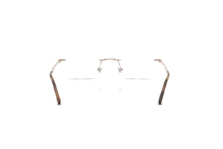 [glasses-back-view] Ray-Ban RX3767V (3207)