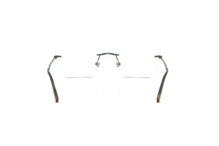 Vy bakifrån Ray-Ban RX3768V (3204)